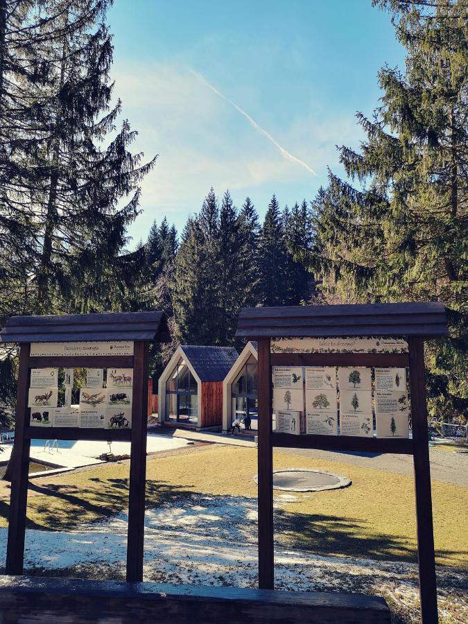 פיצ'ובויצה Drewniana Roza Domki Karkonosze מראה חיצוני תמונה